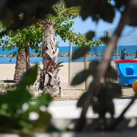 فيلة Ada فرانكافيلا أل ماري